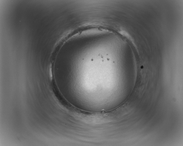 X0000068740020200604281151