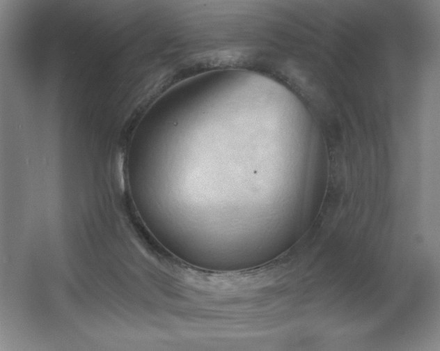 X0000068740022200604281151