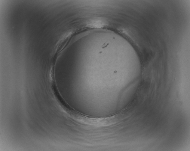 X0000068740023200604281151