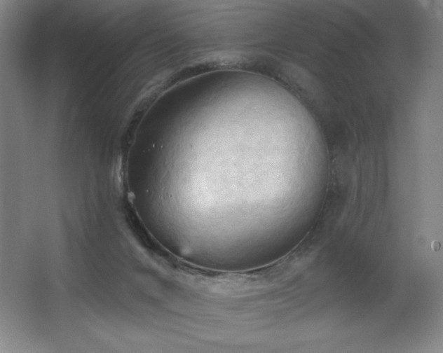 X0000068740024200604281151