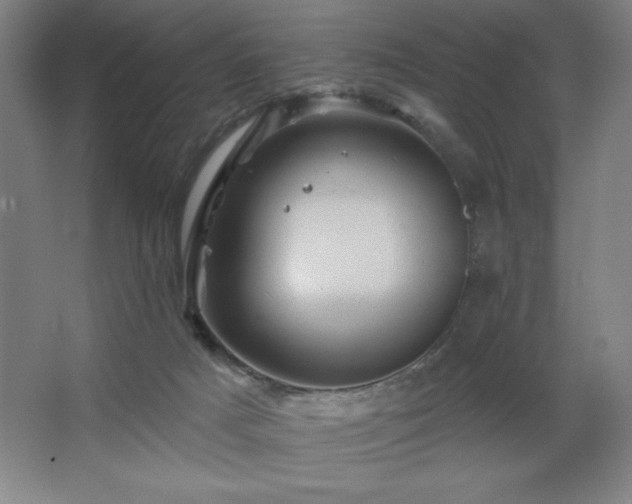 X0000068740025200604281151