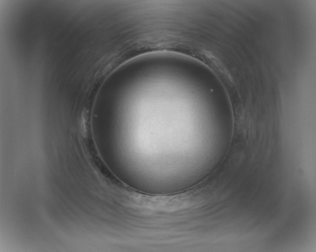 X0000068740026200604281151