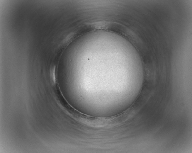 X0000068740028200604281151