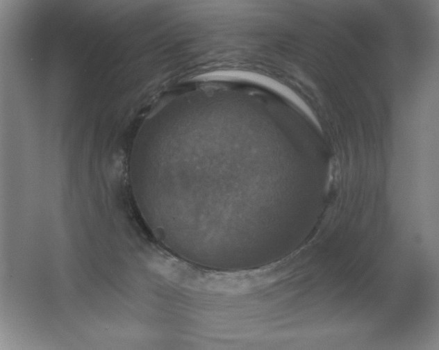 X0000068740029200604281151