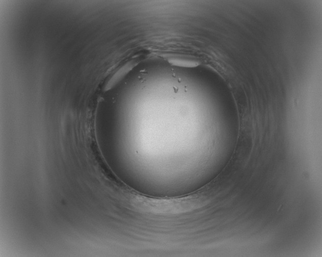 X0000068740030200604281151