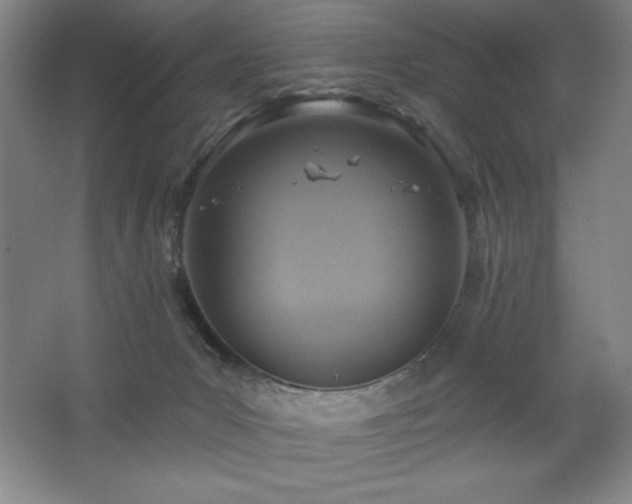 X0000068740031200604281151