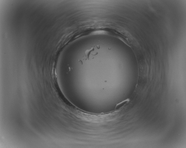 X0000068740035200604281151