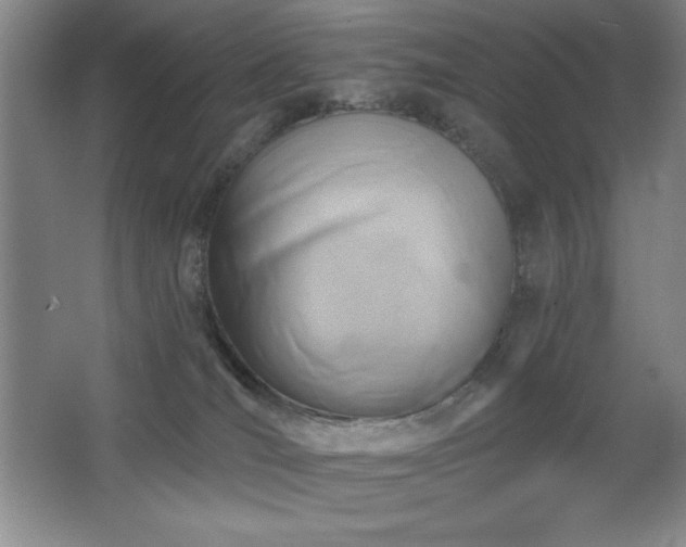 X0000068740036200604281151