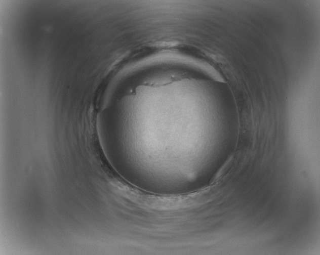 X0000068740037200604281151