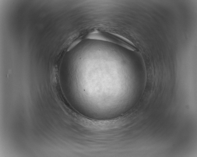 X0000068740038200604281151