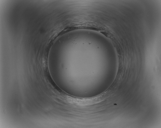 X0000068740039200604281151