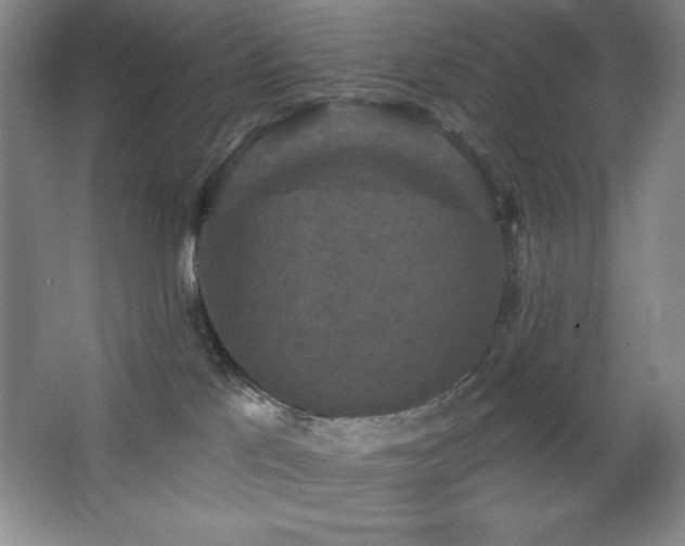 X0000068740041200604281151