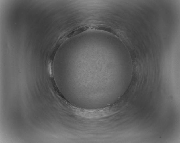 X0000068740042200604281151