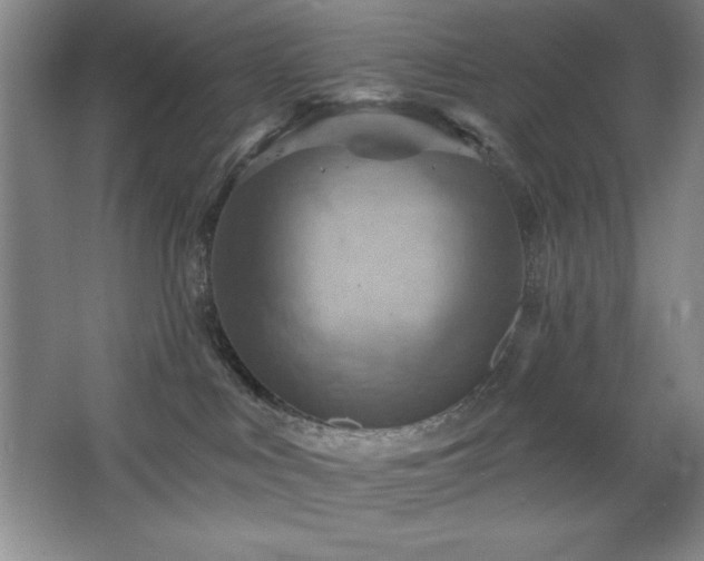 X0000068740043200604281151