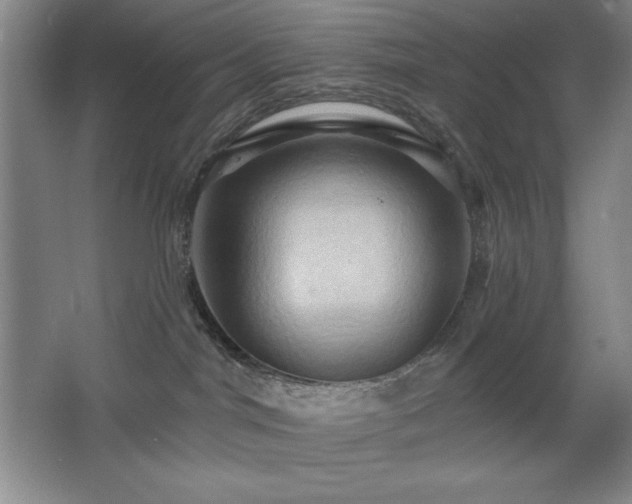 X0000068740044200604281151