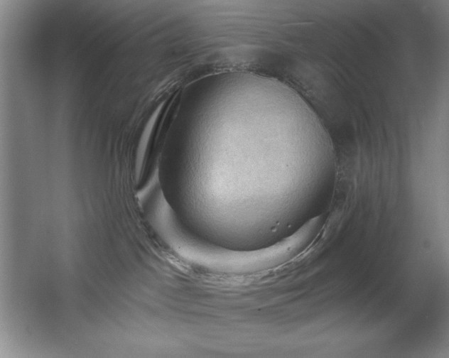 X0000068740045200604281151