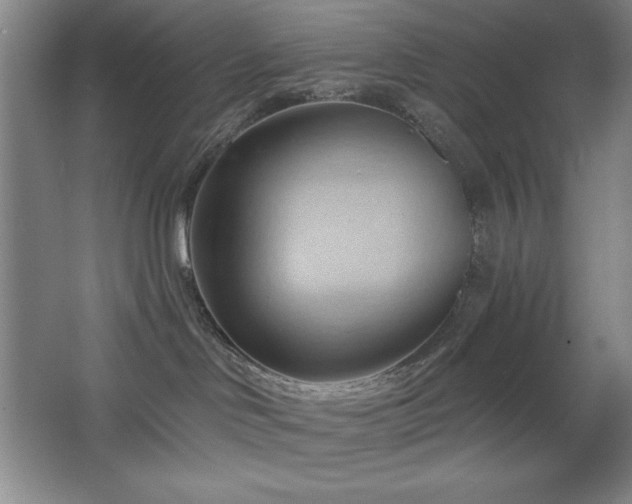 X0000068740046200604281151