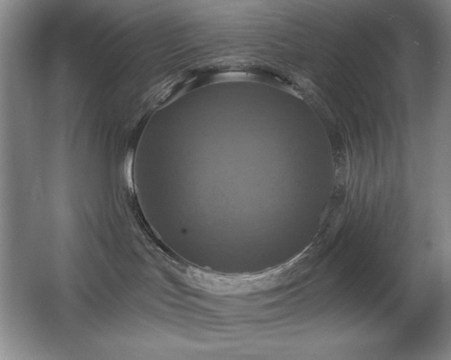 X0000068740047200604281151