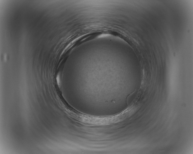 X0000068740048200604281151