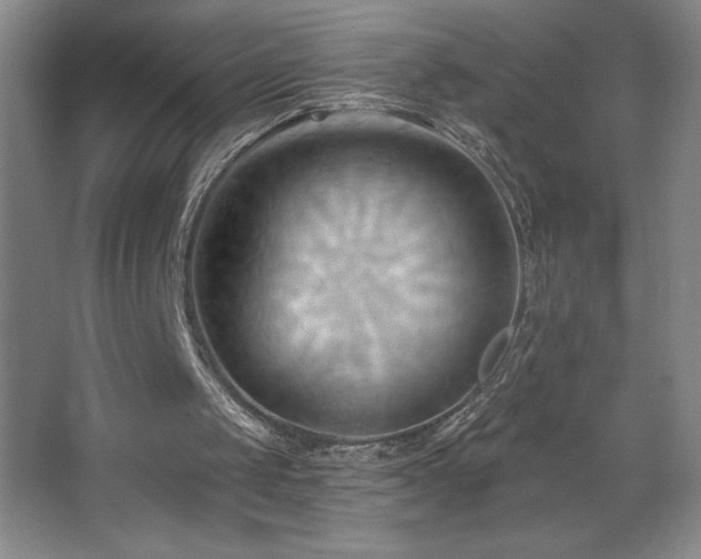 X0000068740049200604281150