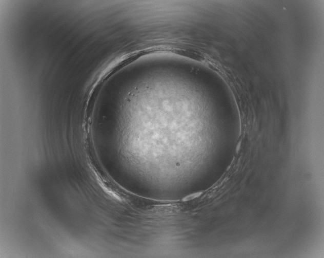 X0000068740050200604281150