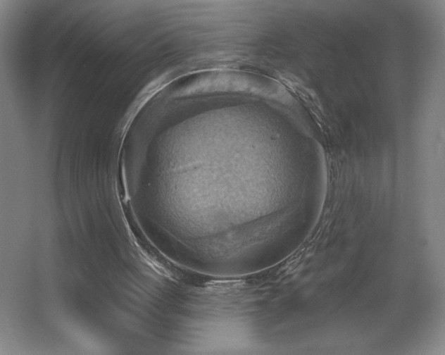 X0000068740051200604281150