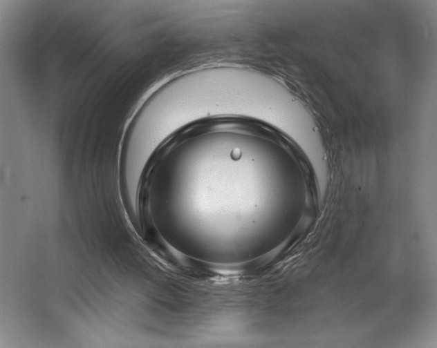 X0000068740052200604281150