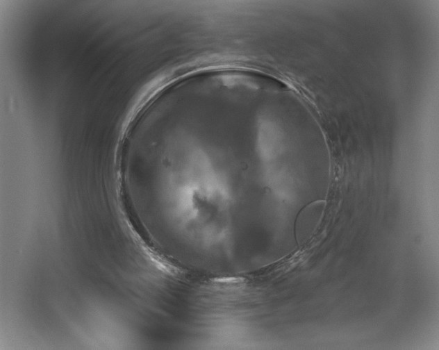 X0000068740053200604281150