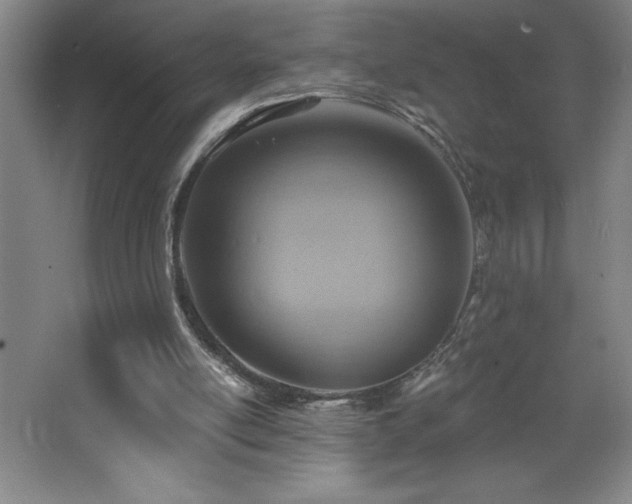 X0000068740054200604281150