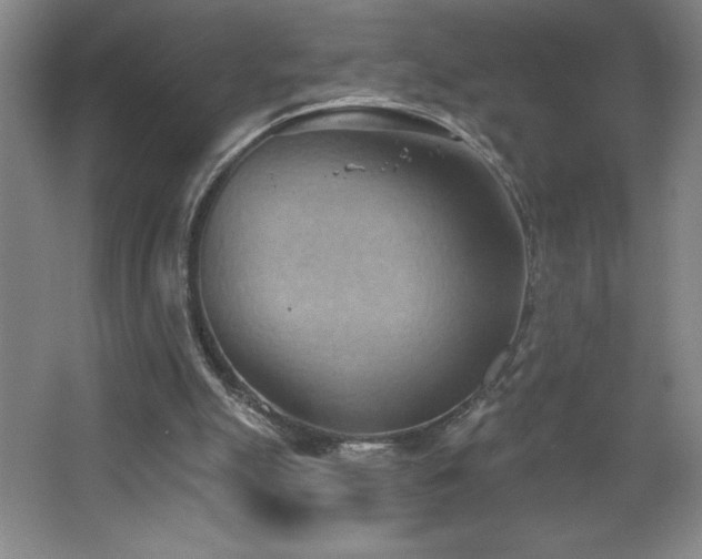 X0000068740055200604281150