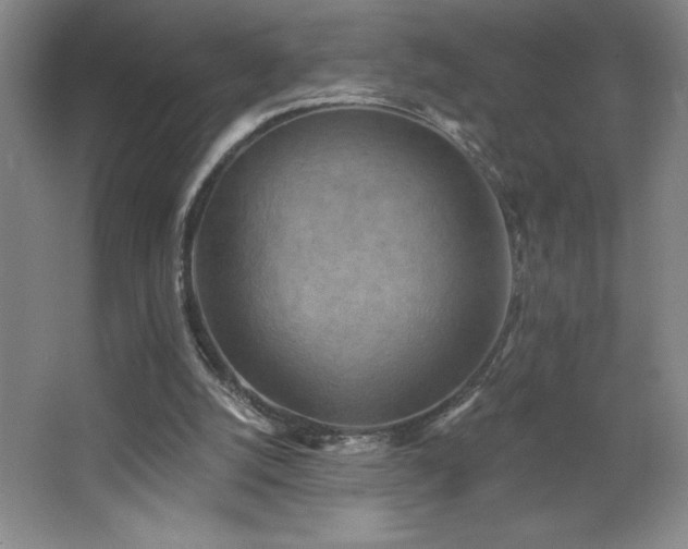 X0000068740056200604281150