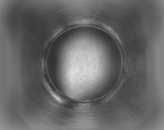 X0000068740057200604281150