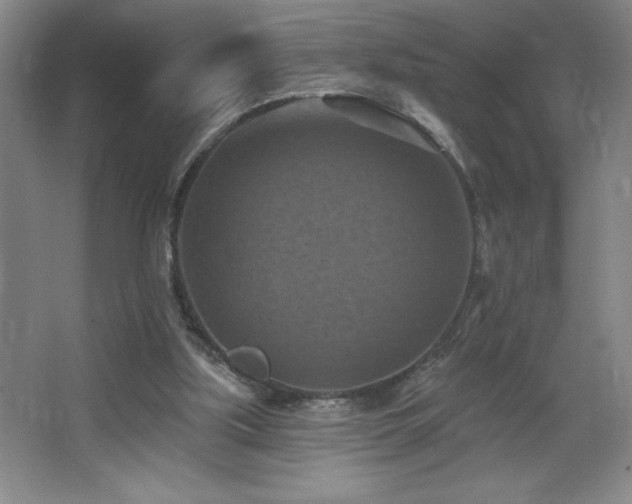 X0000068740059200604281150