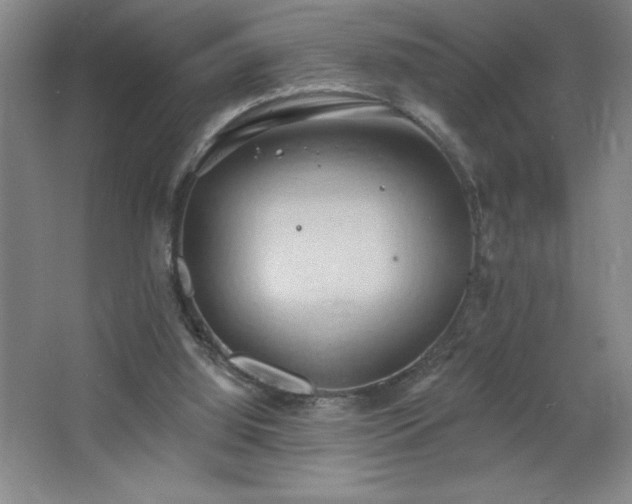 X0000068740060200604281150