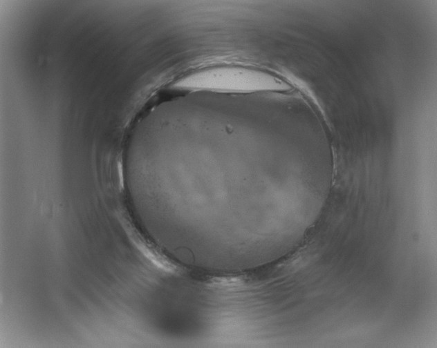 X0000068740061200604281150