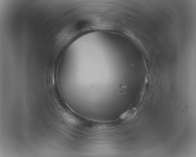 X0000068740062200604281150