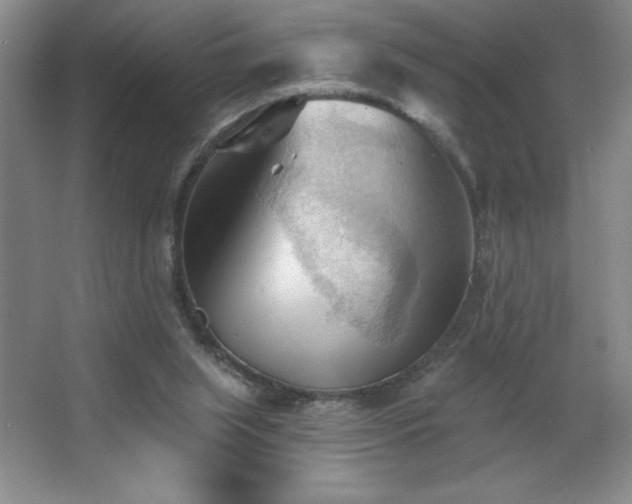 X0000068740063200604281150