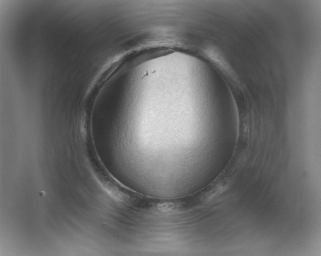 X0000068740064200604281150