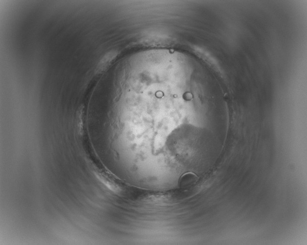 X0000068740065200604281150