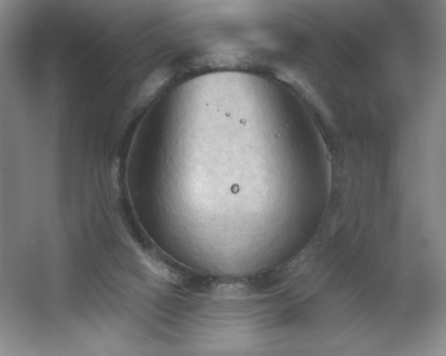 X0000068740066200604281150