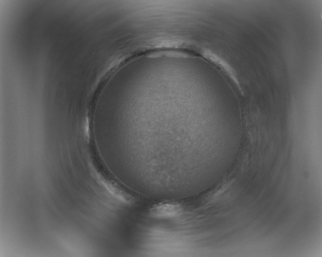 X0000068740067200604281150