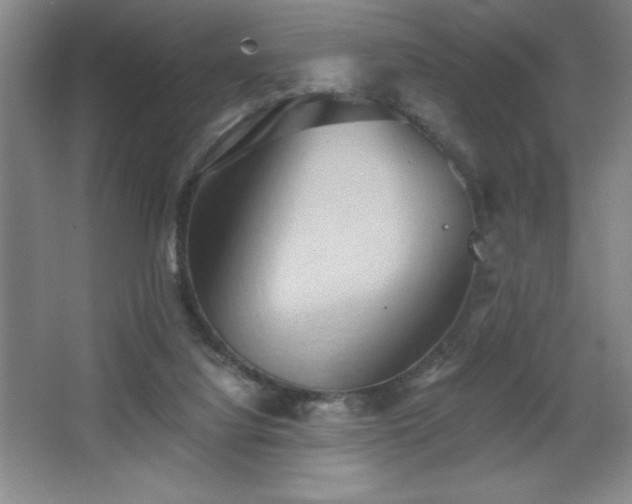 X0000068740068200604281150