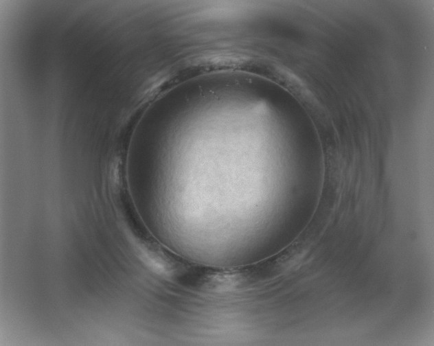 X0000068740071200604281150