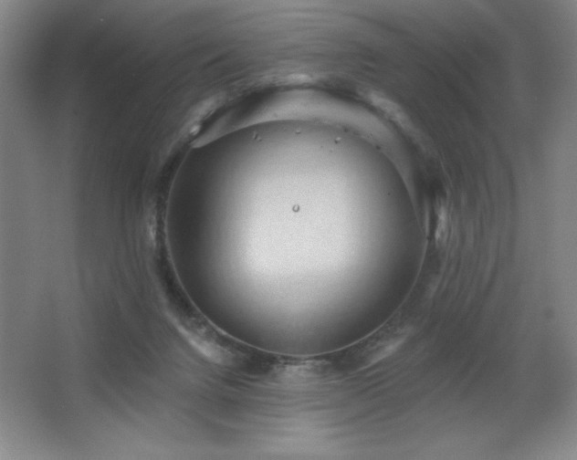 X0000068740072200604281150