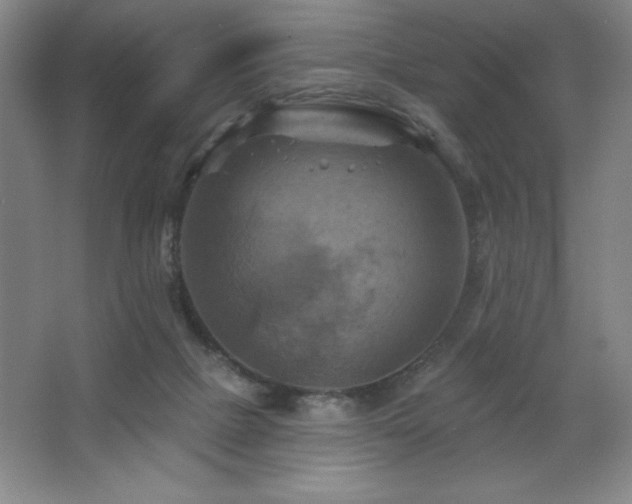 X0000068740073200604281150