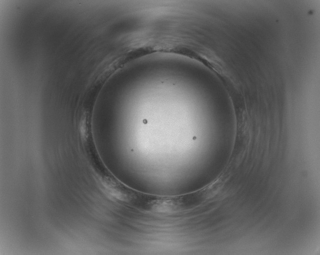 X0000068740074200604281150