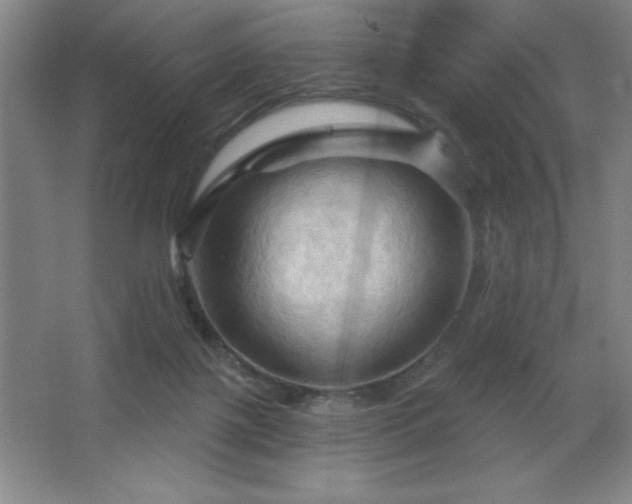 X0000068740075200604281150