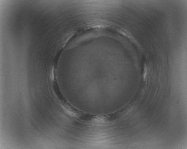 X0000068740076200604281150