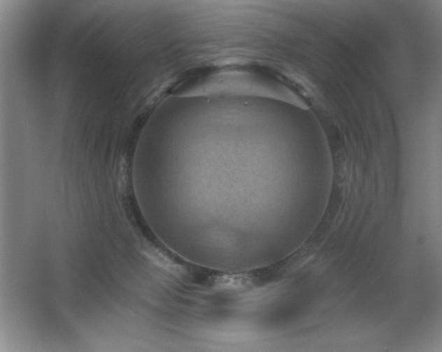 X0000068740077200604281150