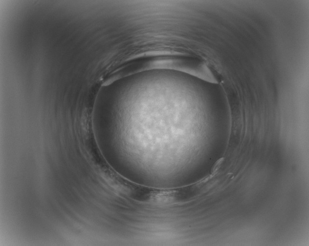 X0000068740078200604281150